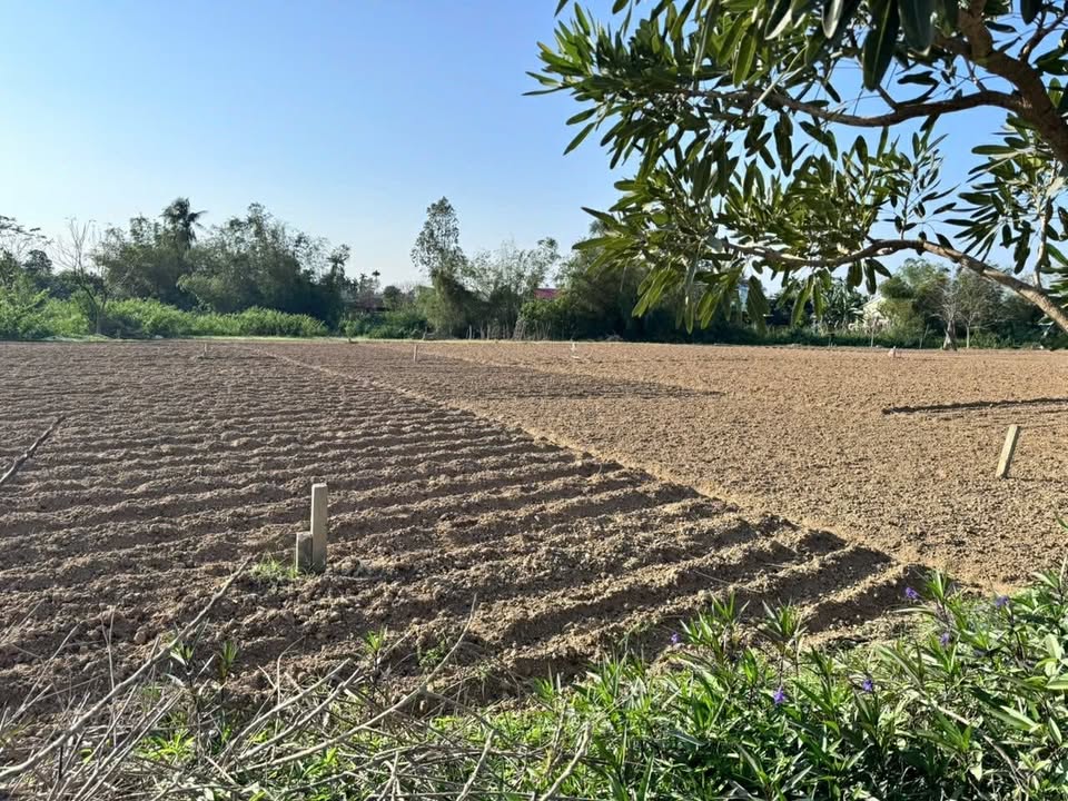 Đất nền Điện Phương, Điện Bàn 200m² - Đất thổ cư 100%, sổ đỏ sẵn sàng!