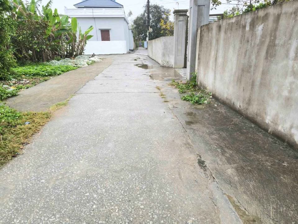 Đất nền Quảng Phú, Thanh Hóa 120m² - Sổ đỏ chính chủ, giá tốt!