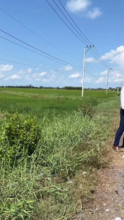 Đất nông nghiệp Cà Mau 19.327m² giá 6.185 tỷ - Cơ hội đầu tư dài hạn!