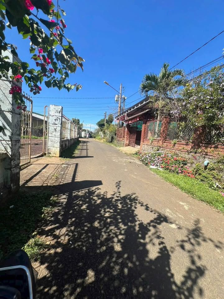 Đất Mặt Tiền Ngô Đức Kế, Bảo Lộc 538m² - Sổ Hồng Sẵn Sàng