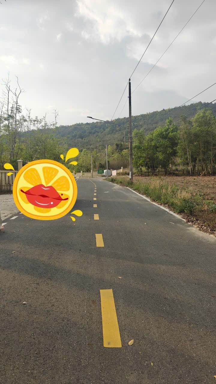 Đất Nền Dầu Tiếng 250m² (Nhựa Định Thành) - Giá Tốt Đầu Tư