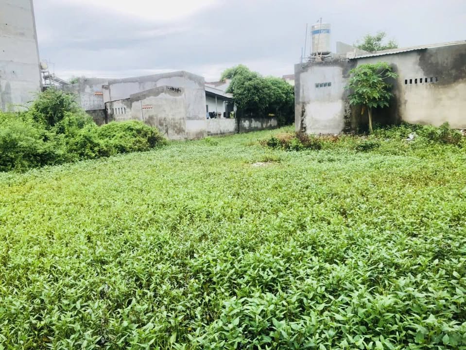 Đất nền Phú Long 537m² 1.9 tỷ - Tiềm năng tăng giá