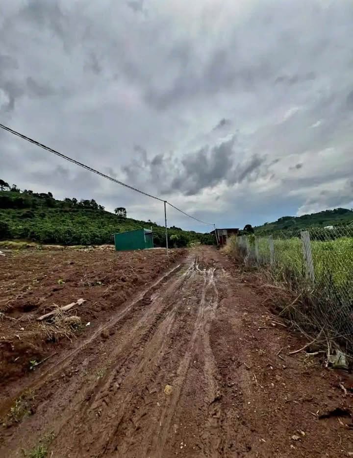 Đất Vườn Đức Trọng 3900m² Giá 1.65 Tỷ - Nghỉ Dưỡng Lý Tưởng!