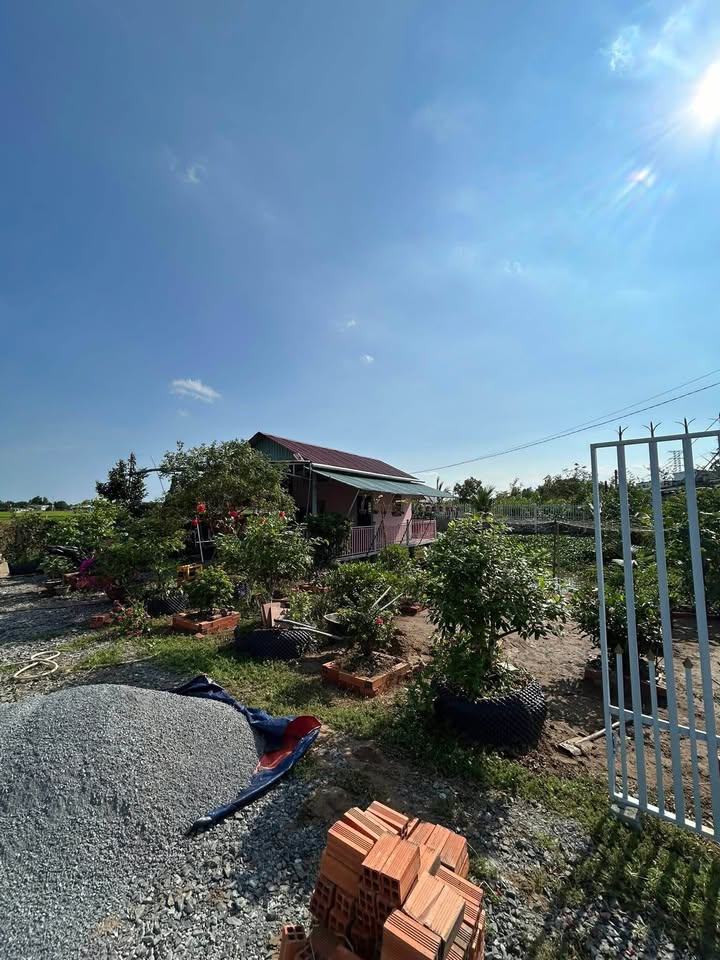 Nhà Vườn 1090m² Gần Nhà Thờ Giáo Xứ Cần Đước - Giá 1.9 Tỷ