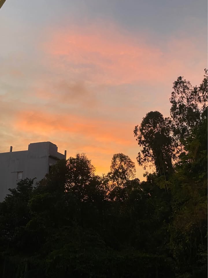 Nhà Phố Sơn Trà 67.5m² - Mặt Tiền Kinh Doanh, Vị Trí Đắc Địa!