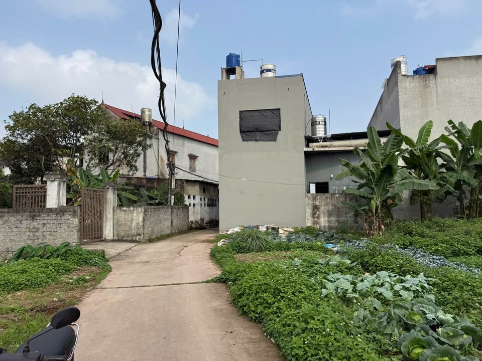 Đất Nền Phổ Yên 120m² Full Thổ Cư - Sổ Hồng Sẵn Sàng, Giá Tốt