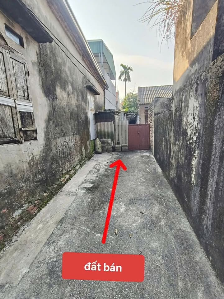 Đất nền Văn Tự Thường Tín 156m² - Đất thổ cư 100%, sẵn nhà cấp 4!