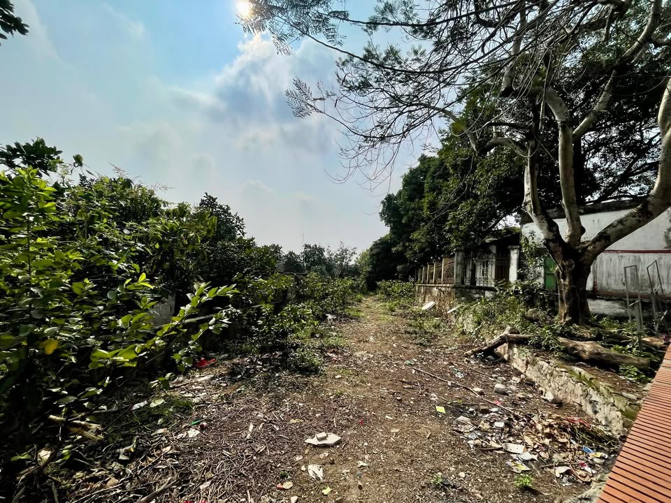 Đất nền Linh Sơn, Thái Nguyên 162m² - Sổ đỏ chính chủ!