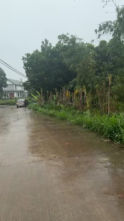 Đất nền Phú Bình 88m² - Sổ đỏ thổ cư, gần KCN Điềm Thụy, đầu tư sinh lời