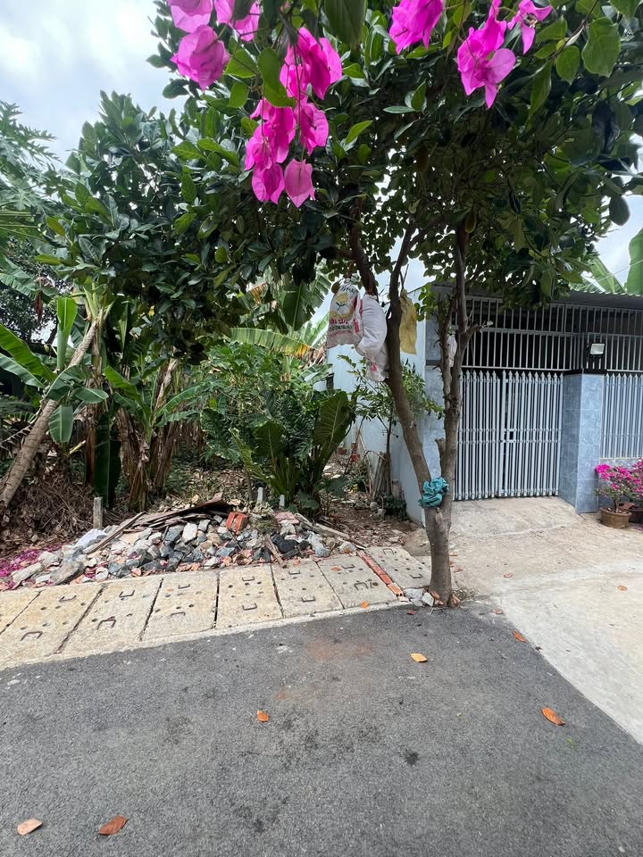 Đất nền Phước Hưng, Bà Rịa 135m² - Sổ đỏ chính chủ