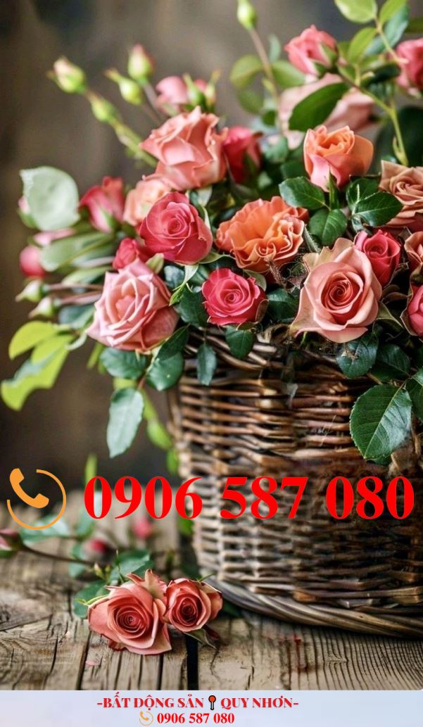 Nhà Mặt Tiền Kinh Doanh 36m² Đường Ô Tô - Quy Nhơn Giá 2.4 Tỷ