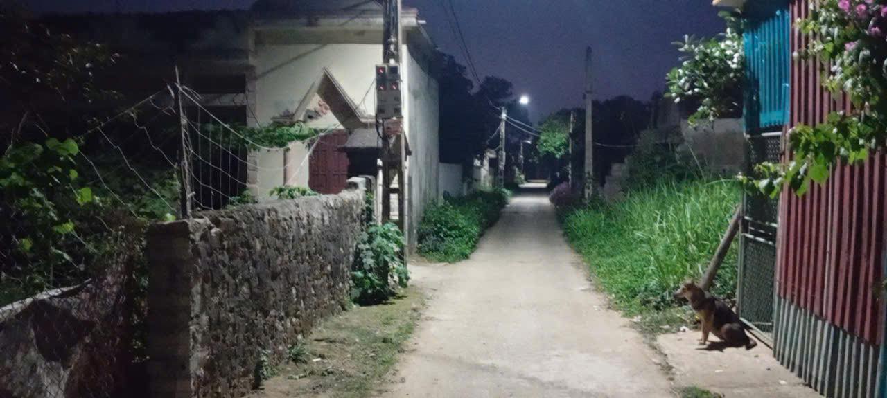 Đất nền Đông Ninh, TP Thanh Hóa 140m² giá từ 800 triệu - Tiềm năng tăng giá!