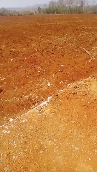 Bán Đất Vườn 3.1ha Chư Pưh, Gia Lai - Giá 4.2 Tỷ, Gần Chợ