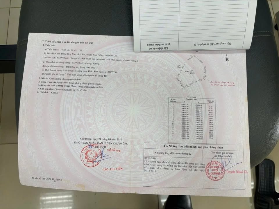 Bán 7ha Đất Nông Nghiệp Gia Lai - Sổ Đỏ Riêng, Giá Tốt