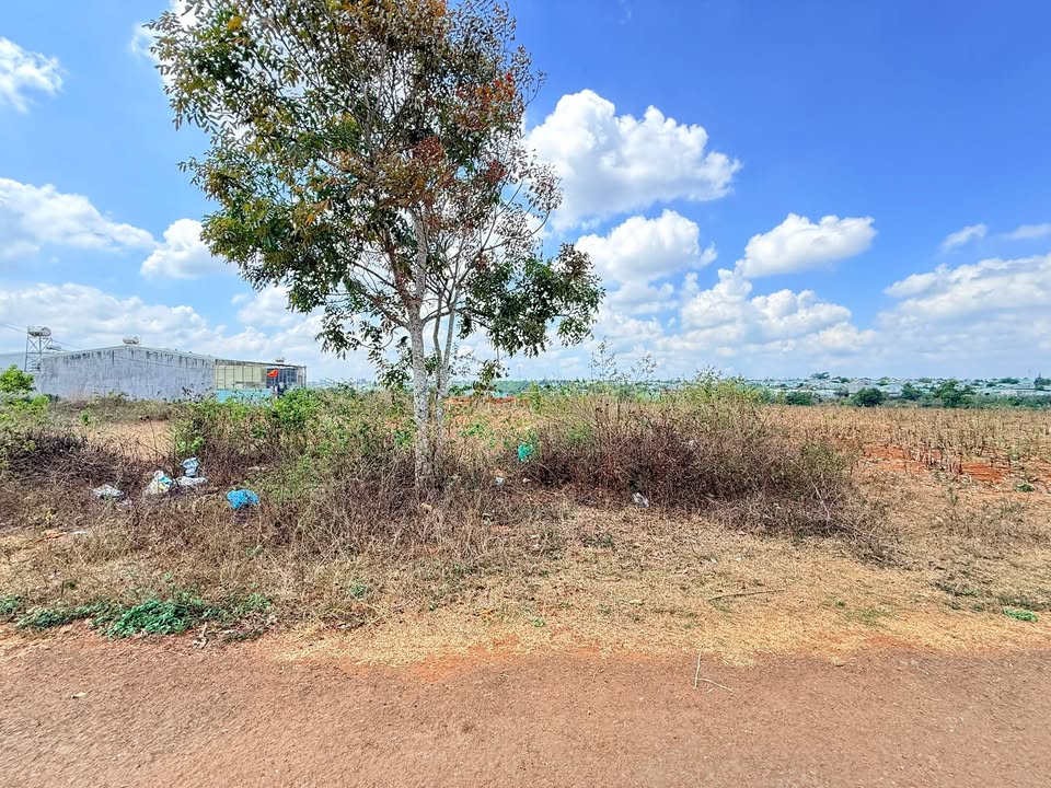 Bán Đất Hẻm Nguyễn Tuân, Pleiku 125m² - Hướng Đông, Giá 7xx Triệu