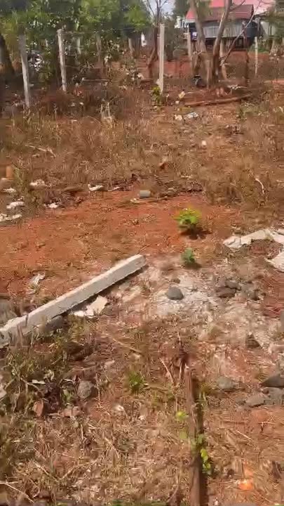 Bán Rẫy Cà Phê 7.5 Sào Đăk Đoa - Giá Đầu Tư 1 Tỷ