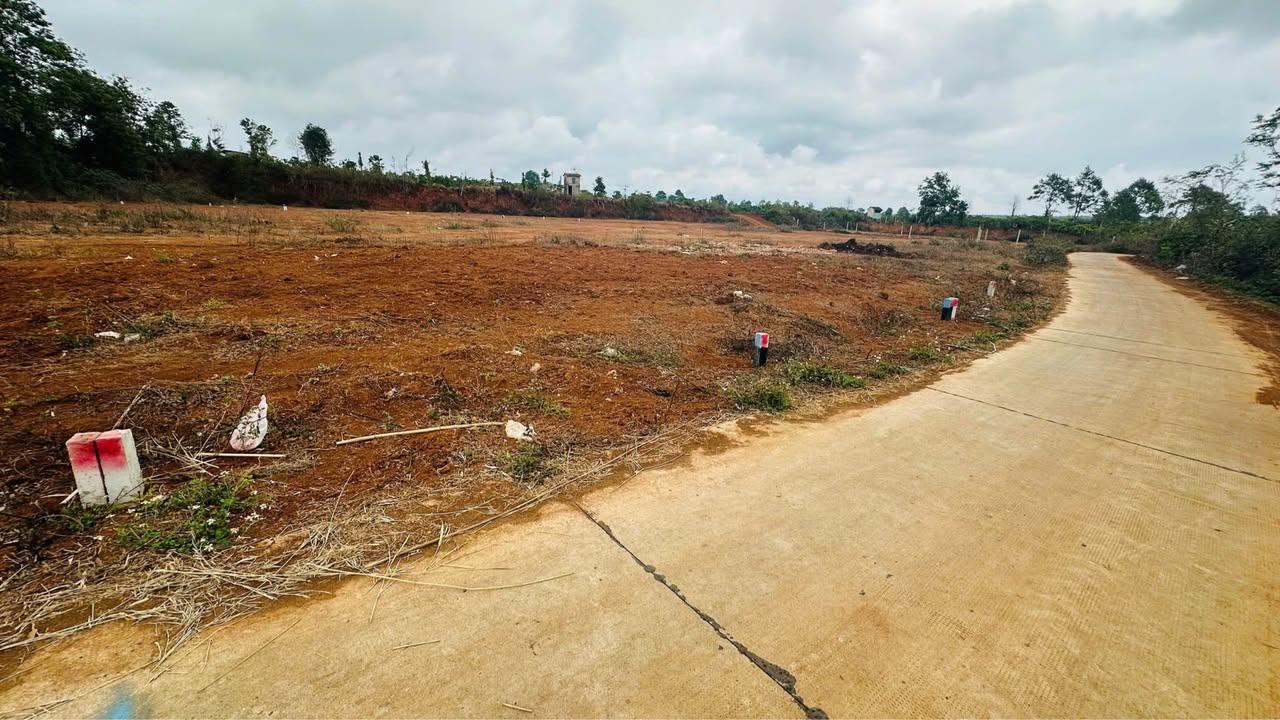 Đất Nền Lý Chính Thắng, Pleiku - 350m² Full Thổ Cư, Sổ Đỏ Riêng