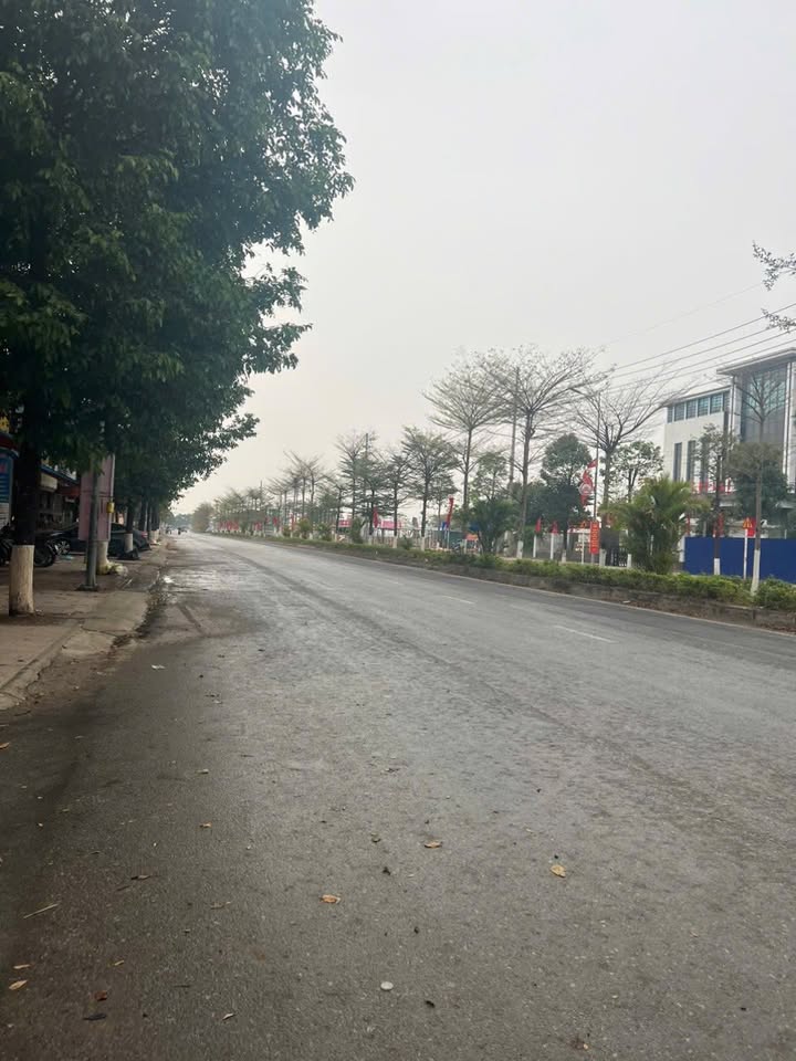 Bán đất Kim Bài, Thanh Oai 52m² - Vị trí Vàng, Tiềm năng sinh lời cao