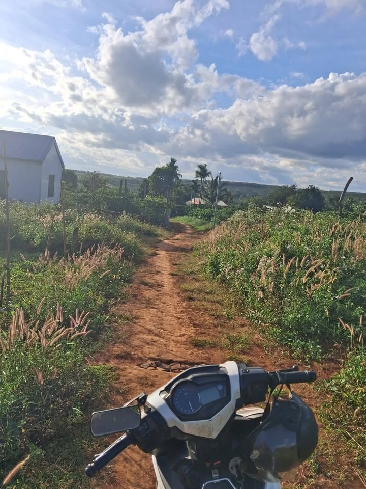 Đất Nền Ia Glai 231m² Sổ Hồng Sẵn - Giá Chỉ 150 Triệu