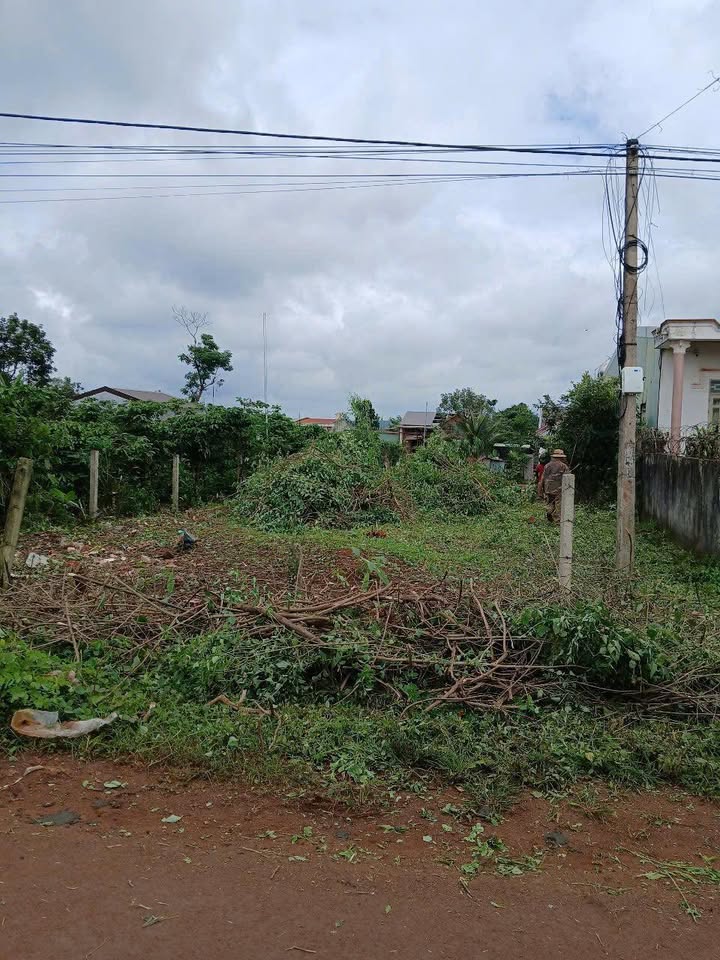 Đất nền Xã Bờ Ngoong 477m² - Sổ đỏ, 2 mặt tiền, tiềm năng sinh lời!