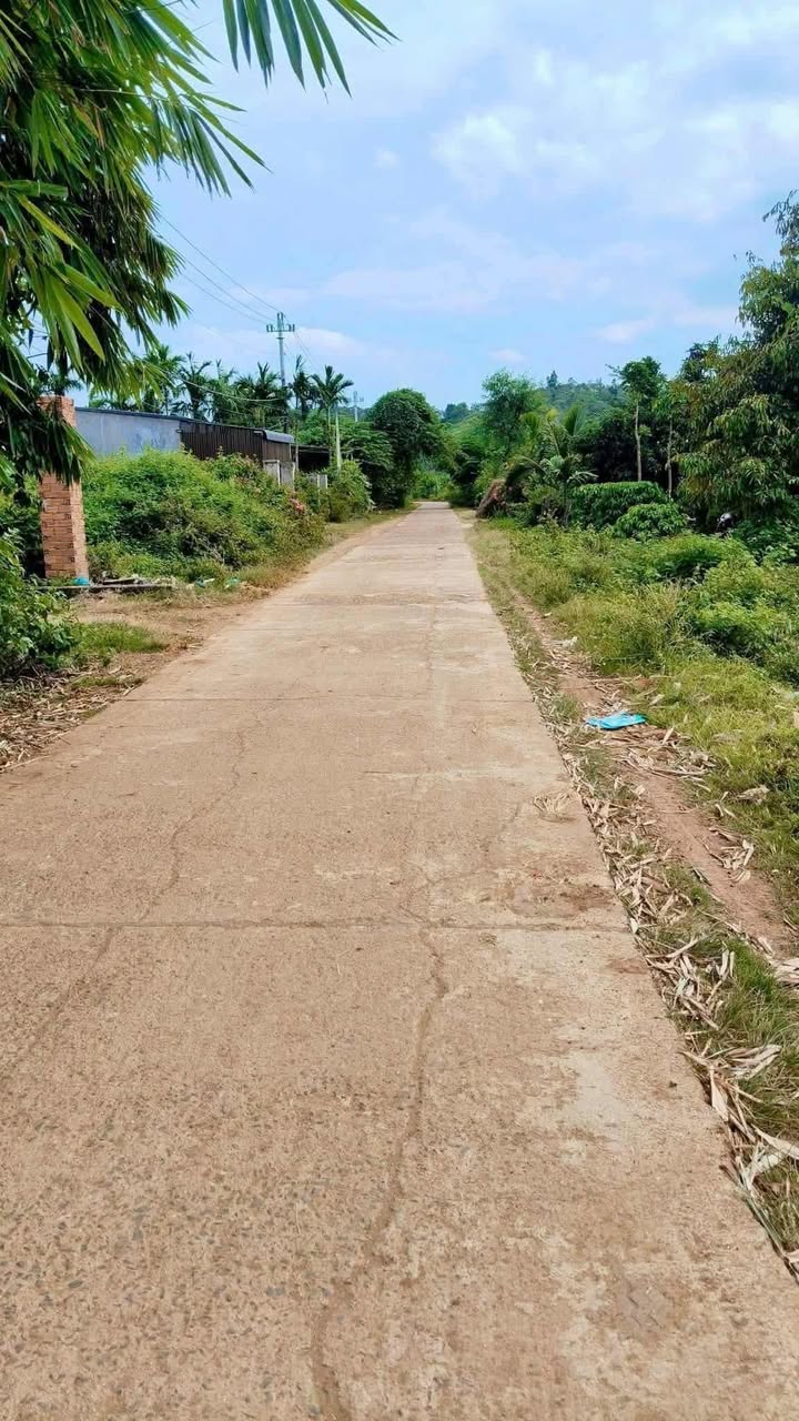 Đất Mặt Tiền Kinh Doanh Trục Chính Xã Ebong Krông Ana, Dĩ An - 130m²