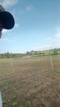 Đất nền Đắk Gằn, Đắk Mil 3.3ha - Tiềm năng tăng giá vượt trội!