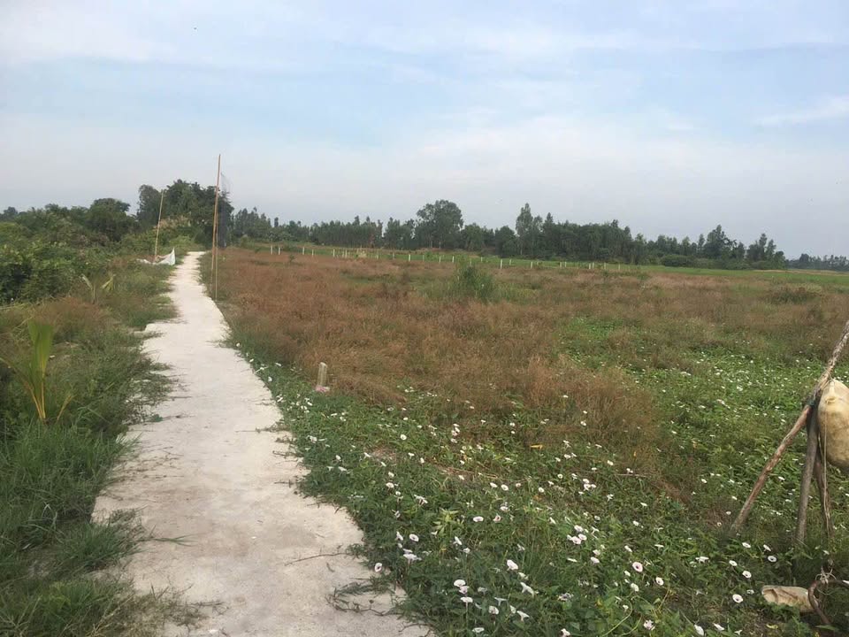 Bán Đất Thổ Cư Châu Thành, Kiên Giang 142m² - Giá Mềm, Gần Trung Tâm