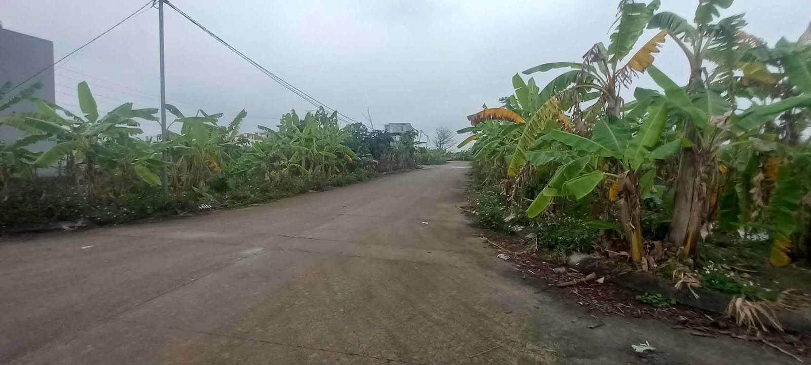 Đất Vàng Ninh Khánh, Hoa Lư - 85m² Mặt Tiền 5m, Đường Nhựa 7m