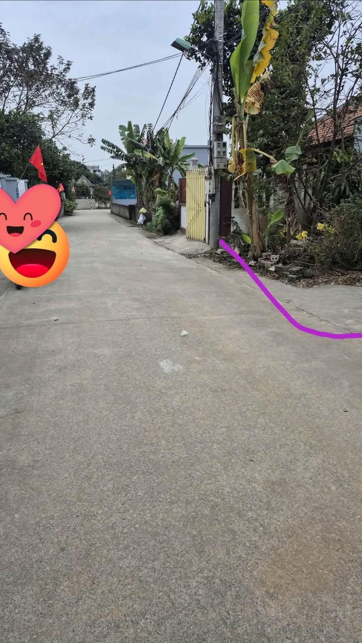 Đất Nền Tam Điệp 9xx Triệu - 100m² Thổ Cư, Mặt Tiền 7m, Ô Tô Tránh Nhau