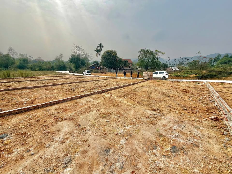 Đất nền Tam Nông 100m² - Sổ đỏ chính chủ, giá đầu tư tốt!