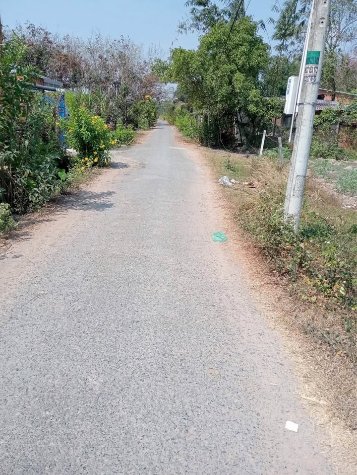 Đất Nền Thạnh Đức Gò Dầu 2726m² Full Thổ Cư - Sổ Hồng Sẵn Sàng