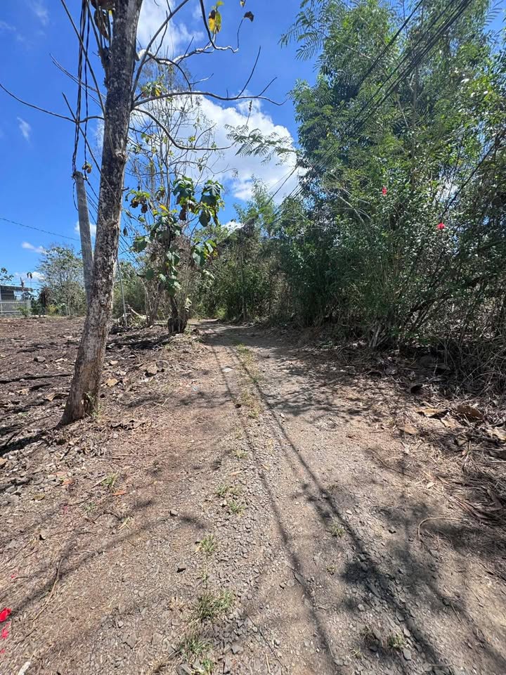 Đất Vườn Đồng Nai 360m² - Sổ Đỏ Riêng, Giá Chỉ 390 Triệu