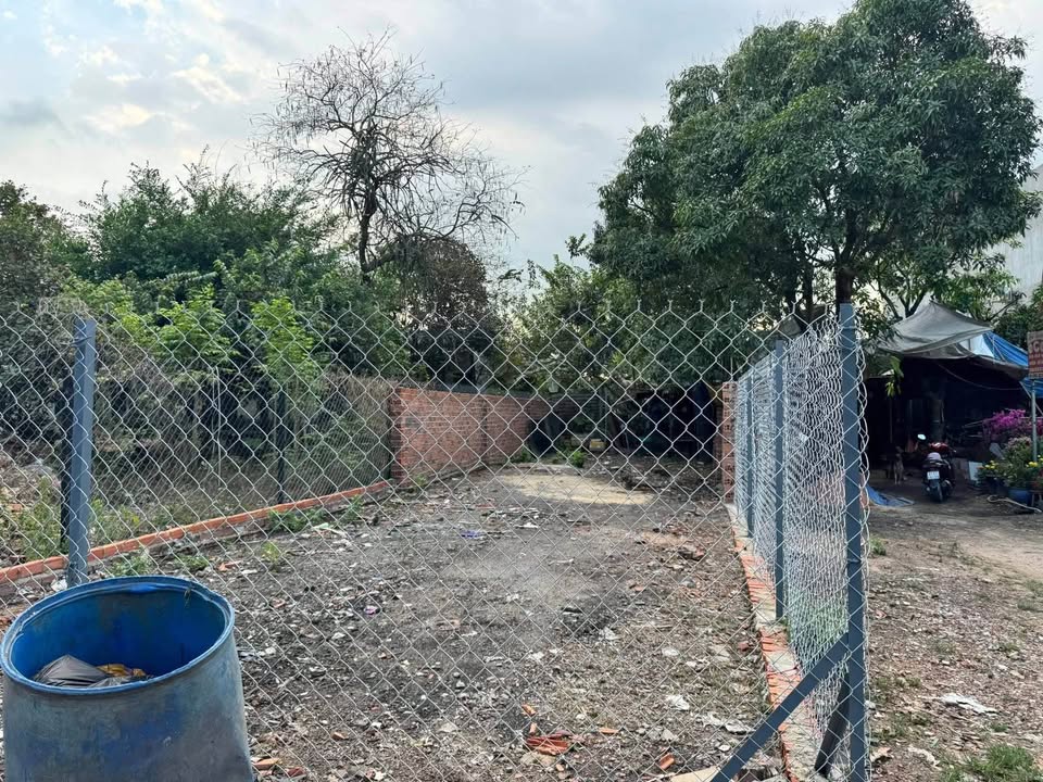 Đất nền Thái Hòa, Tân Uyên 120m² - Tiềm năng tăng giá vượt trội!