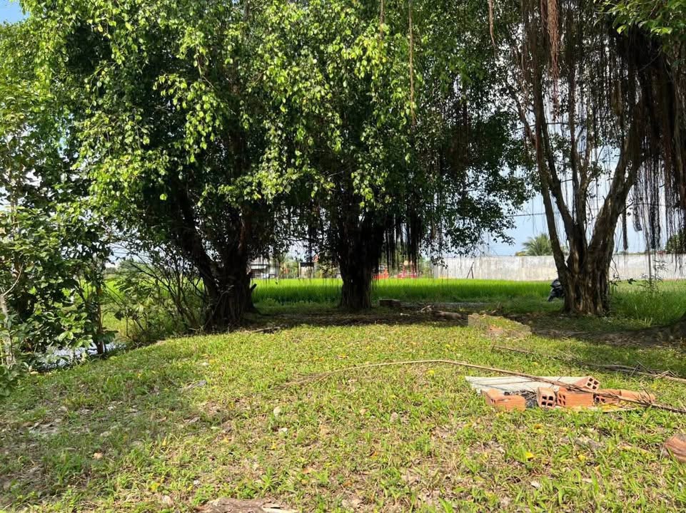 Đất thổ cư Hòa Khánh Đông 226m² giá 1.35 tỷ - Sổ hồng riêng sẵn!