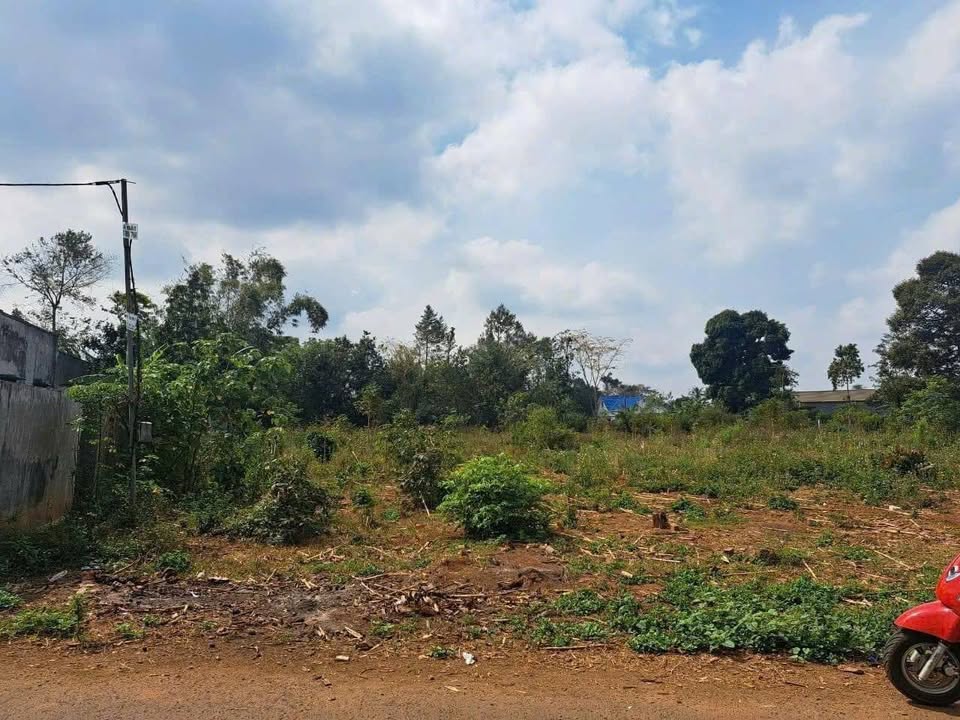 Đất Mặt Tiền 23x50m, Phường Eakao, Buôn Ma Thuột - Giá 3.3 Tỷ, Sẵn Sàng Đầu Tư!