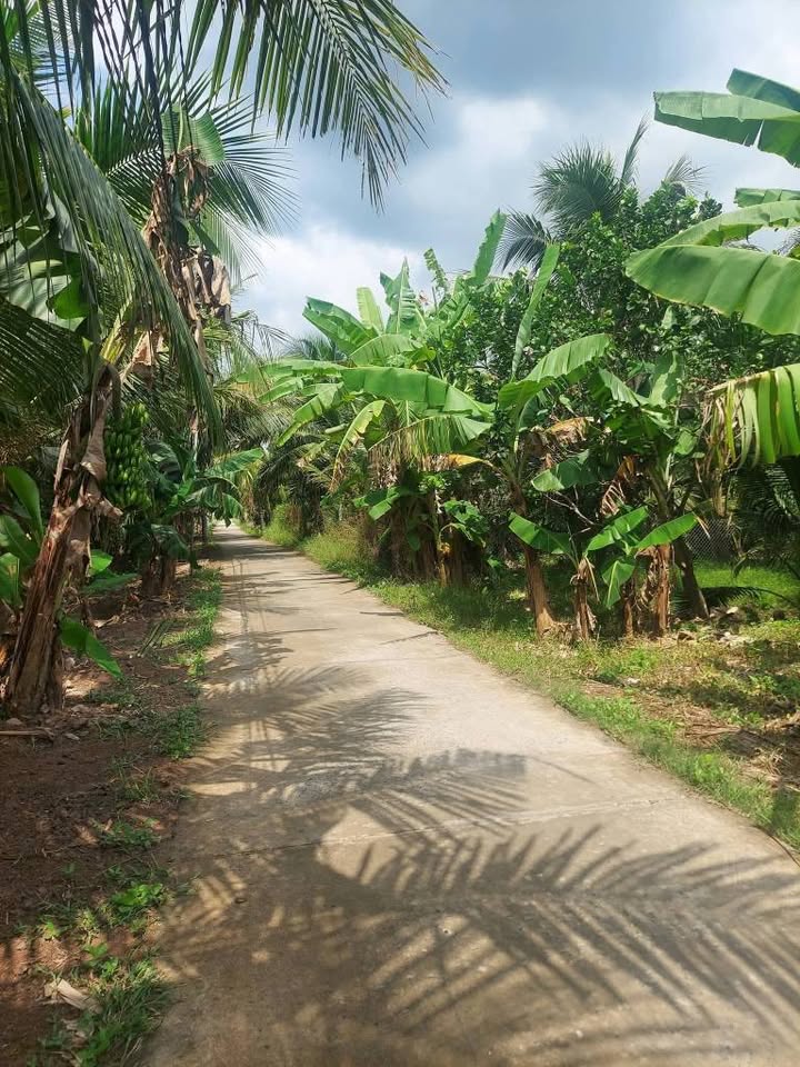 Đất nền Phường Phú Tân, Thủ Dầu Một 10500m² - Tiềm năng tăng giá!