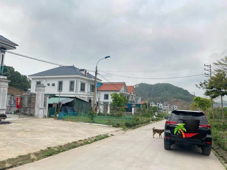 Đất Biệt Thự Vân Đồn 300m² - Tiềm Năng Tăng Giá Vượt Trội!