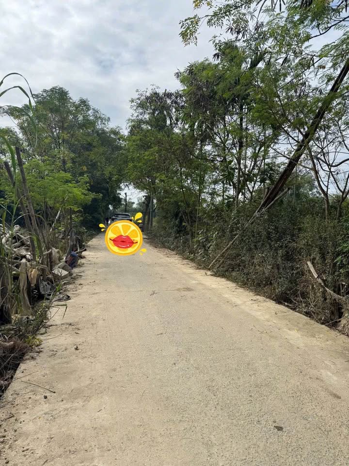 Đất Nền La Bông, Hòa Tiến 100m² - Cơ Hội Đầu Tư/An Cư Vàng