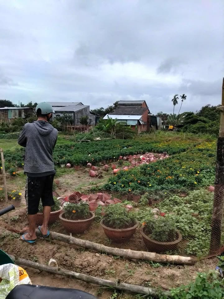 Đất Nền 215m² Điện Nam Bắc, Quảng Nam - Giá Tốt Đầu Tư