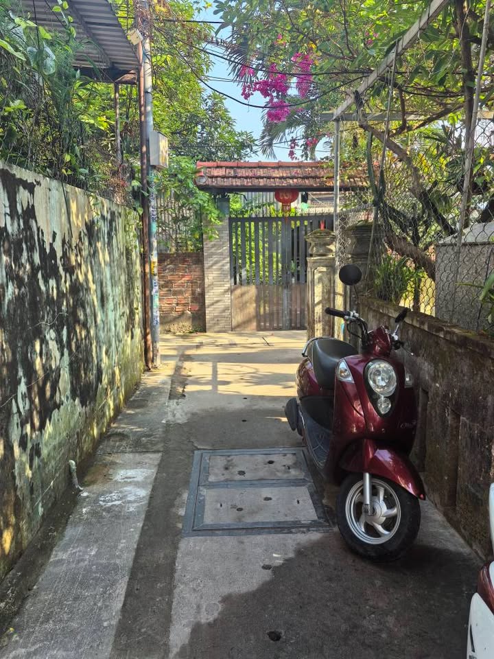 Bán đất kiệt Nguyễn Đình, Sơn Trà 145m² - Sổ đỏ sẵn sàng, giá 7.2 tỷ