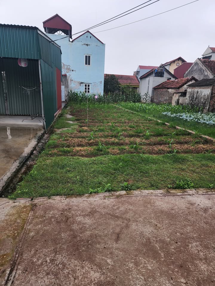 Đất nền Kim Động Hưng Yên 138m² - Sổ đỏ chính chủ, giá F0!