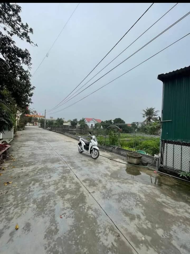 Đất Nền An Lão, Hải Phòng 100m² - Sổ Đỏ Lâu Dài, Giá Đầu Tư