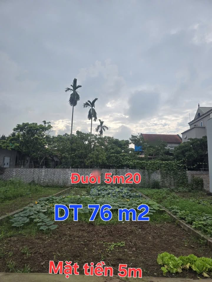 Đất nền An Thái, Khoái Châu 76m² - Sổ đỏ sẵn sàng, ô tô vào nhà