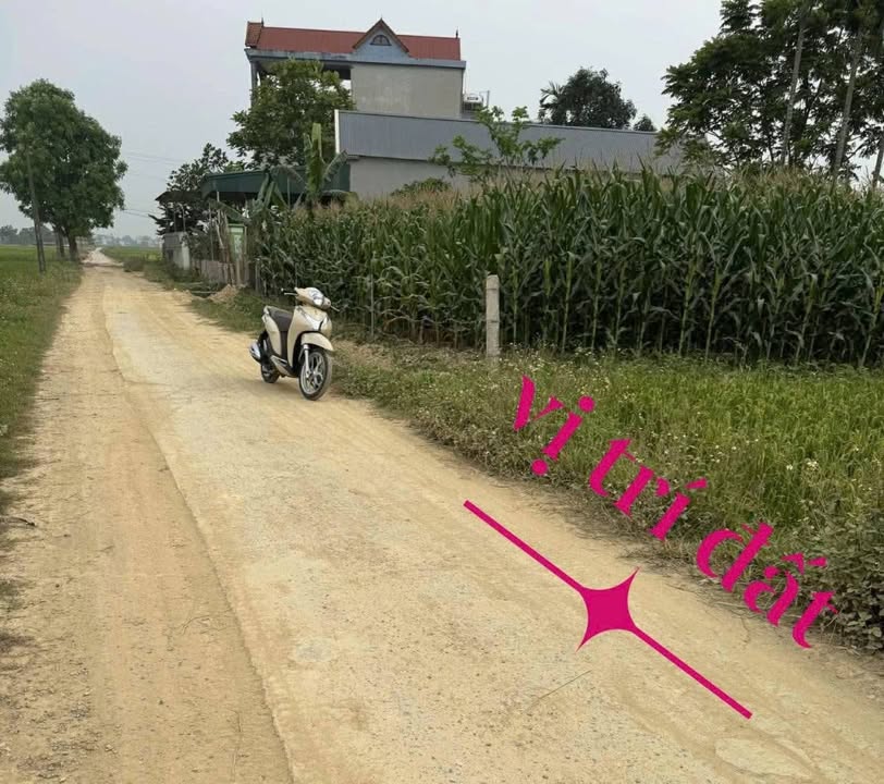 Đất Nền Thọ Xuân, Thanh Hóa 200m² - Giá Tốt Đầu Tư