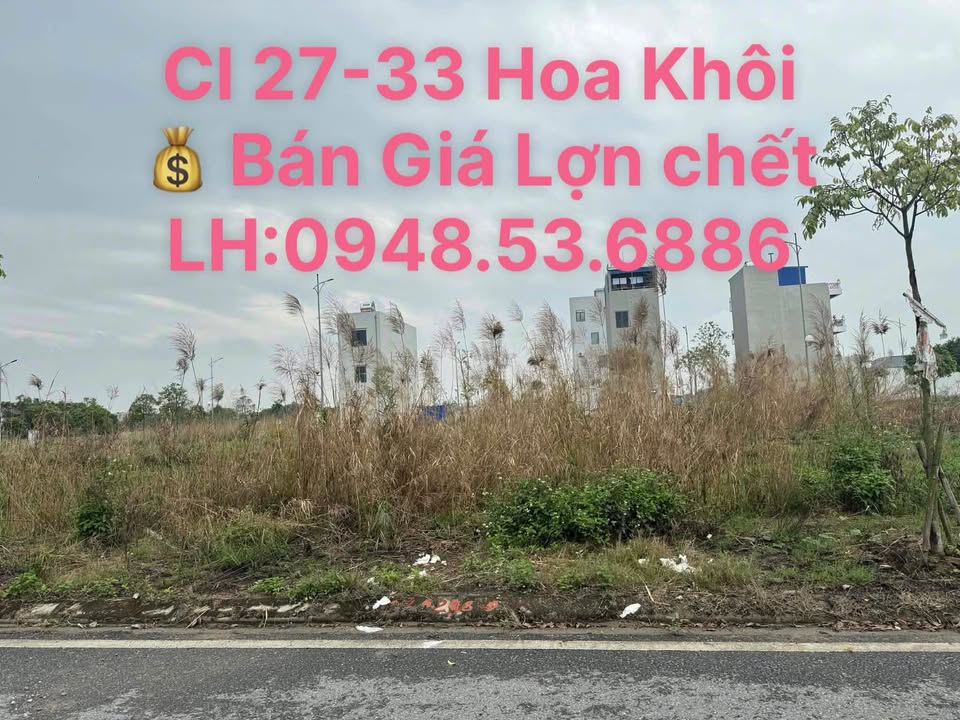 Đất nền Thành phố Nam Định 58.5m² - Tiềm năng tăng giá!