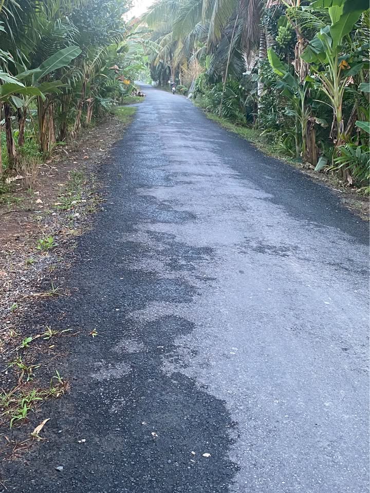 Đất Vĩnh Long 566m² Mặt Tiền Đường Nhựa 5 Tấn – Giá 450 Triệu