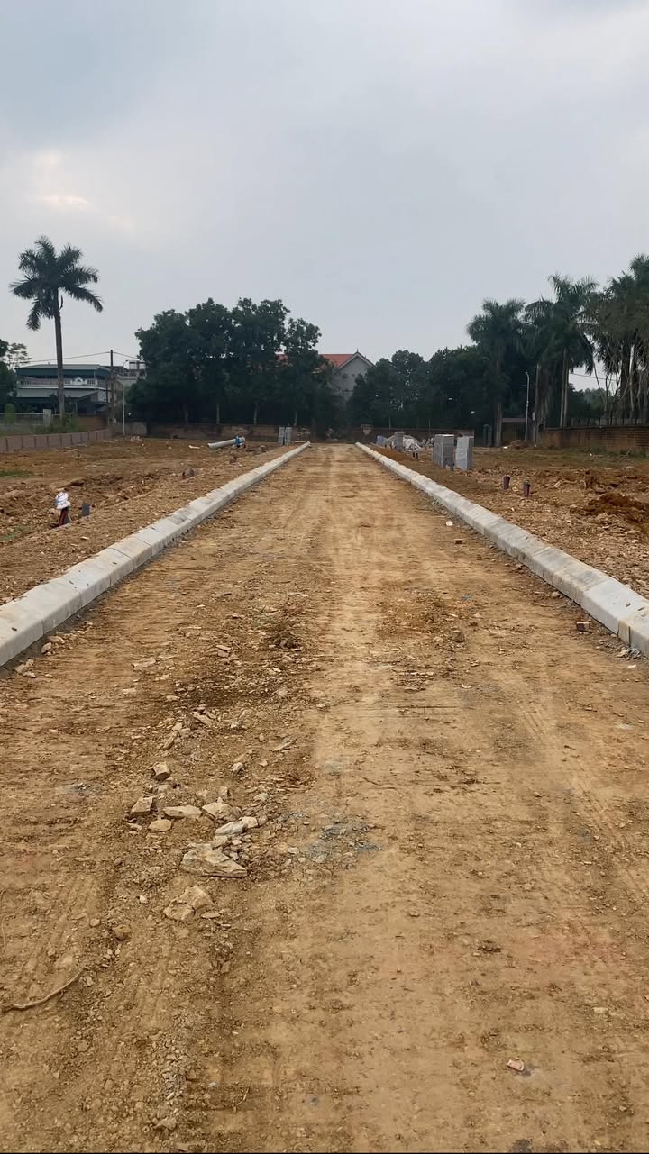 Đất nền Hoà Lạc 100m² giá 3.5 tỷ - Sổ đỏ chính chủ!