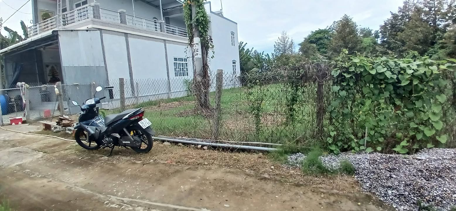 Đất Nền Lai Vung Đồng Tháp 167m² - Gần Chợ, Giá Chỉ 4xx Triệu