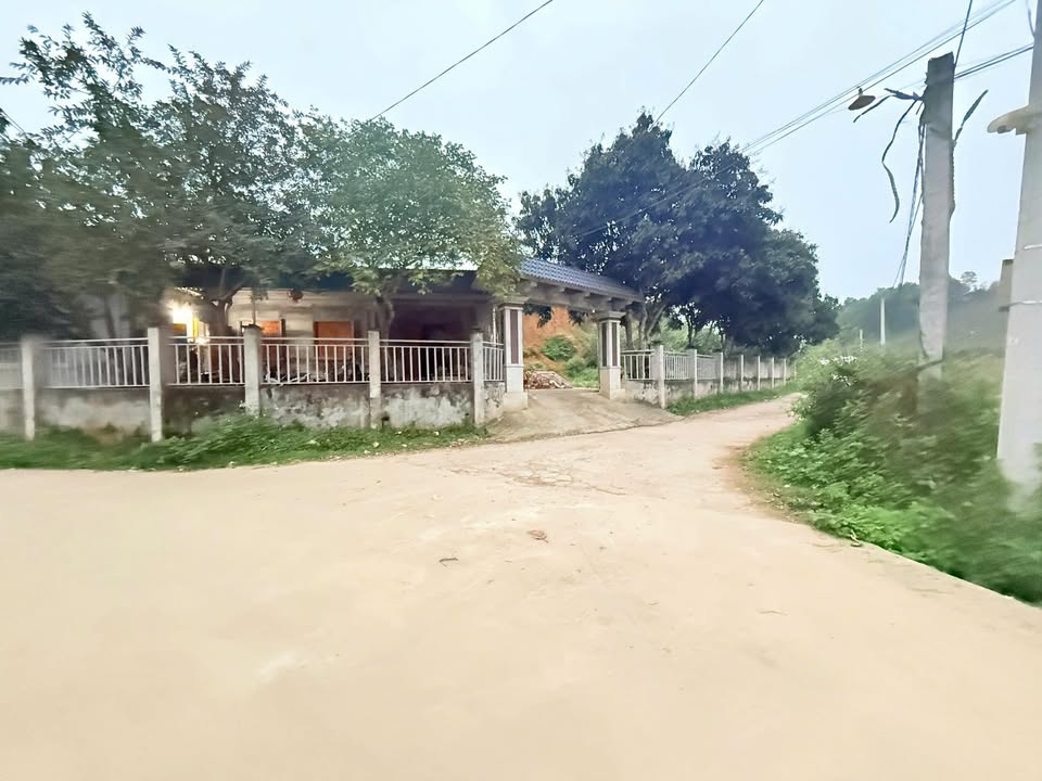 Đất Vườn Yên Lập, Phú Thọ 1330m² - Hơn 200 Triệu, Sẵn Cây Lâu Năm