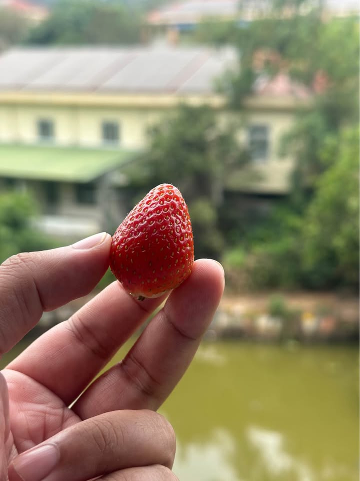 Nhà Mặt Tiền Kiến Đức 360m² 1.x Tỷ - Mặt Tiền Kinh Doanh Hiếm Có!